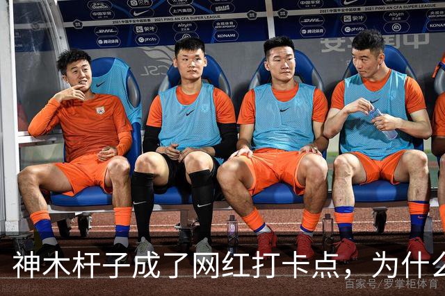 神木杆子成了网红打卡点，为什么要围起来？